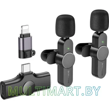 Микрофон Borofone BFK12 (USB Type-C/Lightning)